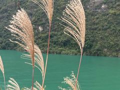 -乌江画廊(彭水苗族土家族自治县)