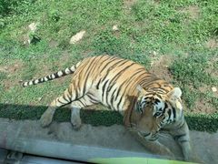 -西安秦岭野生动物园