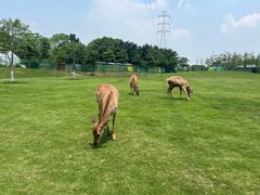 -盈香心动乐园