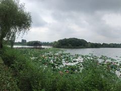 -上海市保健医疗中心