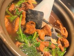 -南京大牌档(中关村领展广场店)