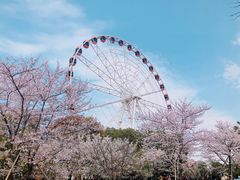 -自然谷恐龙园