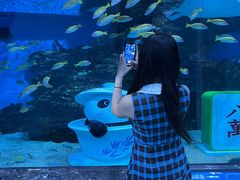 -海合安成都极地海洋公园