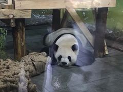 -无锡动物园·太湖欢乐园