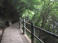 -塔云山
