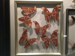 iphone_upload_pic-西安世博园