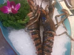 -山海•蒸汽活海鲜自助(皇庭广场店)