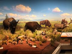 -陕西自然博物馆