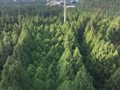 -日月潭