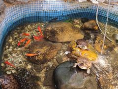 -御膳粥·牛乳粥底火锅·地道顺德菜(容桂店)