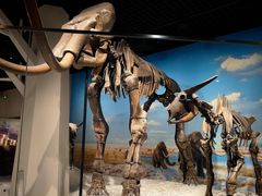 -国家自然博物馆