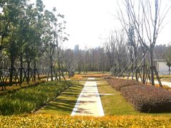 -上海山野camping·户外天幕烧烤·团建拓展营地