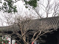 -秋霞圃