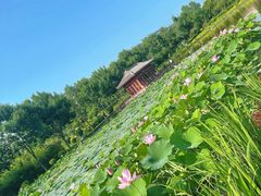 -云居湖