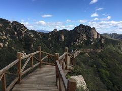 -大岭沟猕猴桃谷风景区