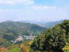 -龙井村