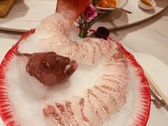 过桥东星斑-滋粥楼·顺德菜(番禺广场总店)