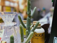 -AOKKA COFFEE(万象前海快闪店)