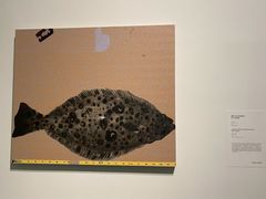 -德基艺术博物馆
