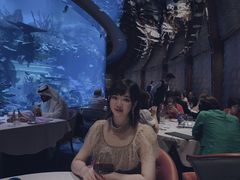 -迪拜帆船酒店海底餐厅