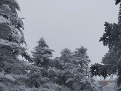 -峨眉山风景名胜区
