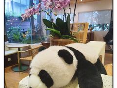 -成都仁和新城购物中心