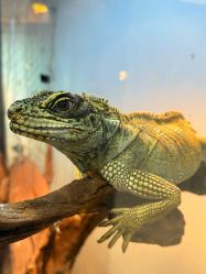 -Zoolung Zoolung动物主题公园(海信广场店)