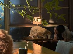 -咖法森林·咖啡  酒吧(天河店)