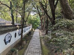 -上海佘山国家森林公园天马山园