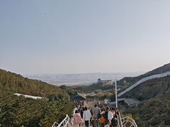 -大青山野生动物园