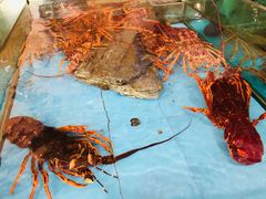 -旺顺阁海鲜广场(亚运村店)
