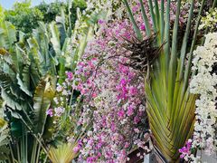 -深圳国际园林花卉博览园