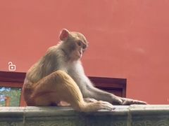 -黔灵山公园-南门售票处