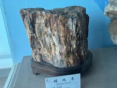 -延庆地质公园博物馆