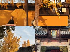 -西园寺