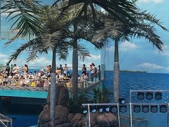 -海合安成都极地海洋公园