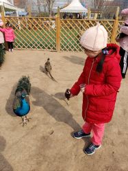 -萌宠亲子动物乐园(槐房万达店)