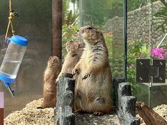 -珠海海泉湾神秘岛亲子乐园