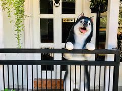 -TrueLove @ Neverland (Husky Cafe)