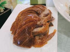 -津悦·正阳春烤鸭(红旗南路店)
