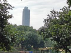 -晓港公园