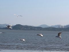 -深圳湾公园(南山区)