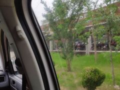 -安飞驰驾校·学车连锁(金高店)