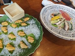 -月龍吟(朝龙汇店)