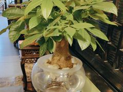 -天怡·鱼工厂(临江店)