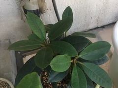 -维也纳国际酒店·江苏苏州火车站北广场店