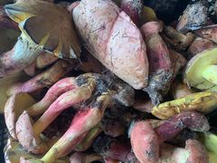 -双喜农庄·菌香园(安居家园店)