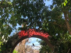 -The Grounds of Alexandria
