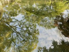 -秋霞圃