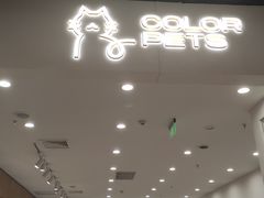 -COLOR PETS 撸猫馆·购猫·猫咖(长风大悦城店)